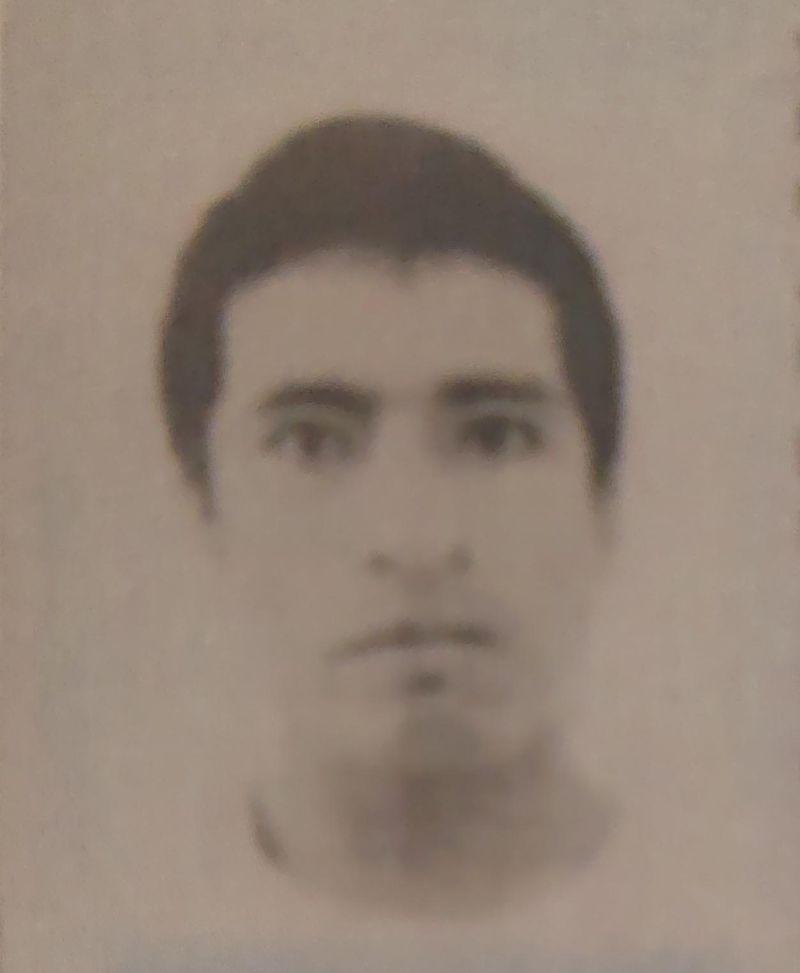 User Image