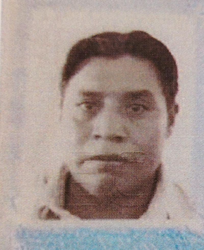 User Image