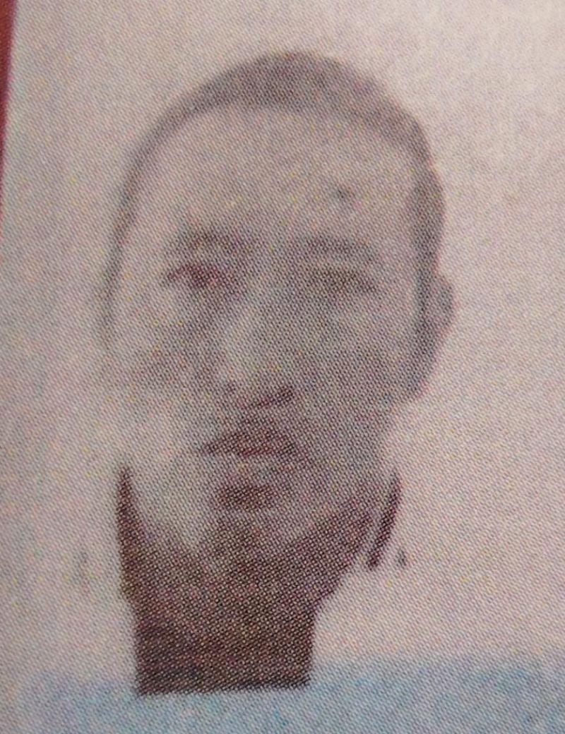 User Image