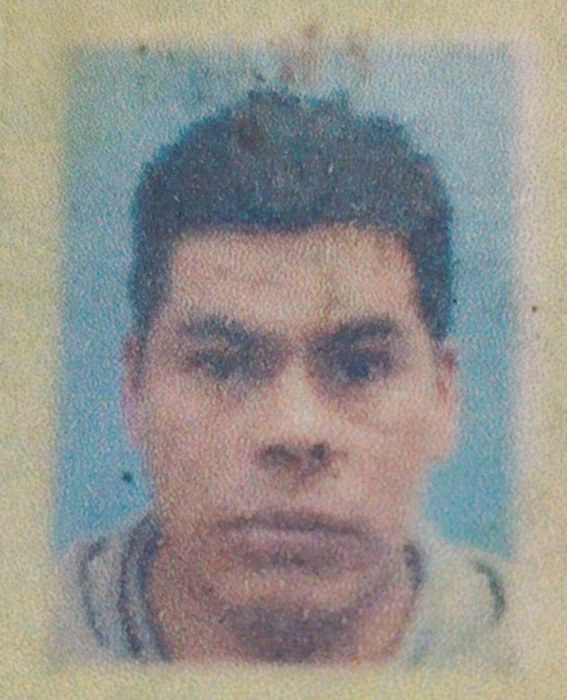 User Image