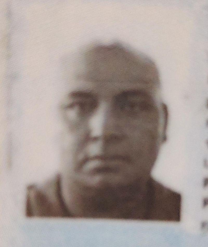 User Image