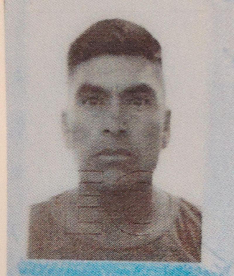 User Image