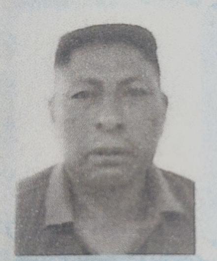 User Image