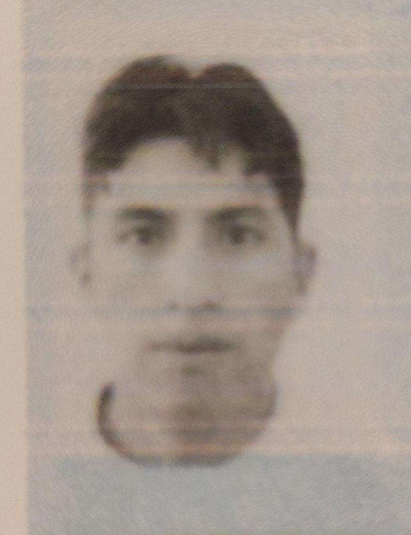 User Image