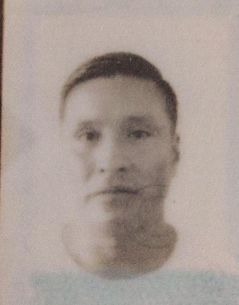 User Image