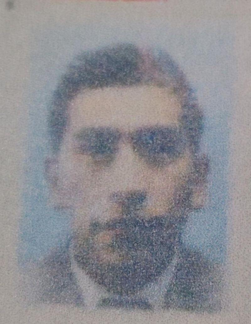 User Image