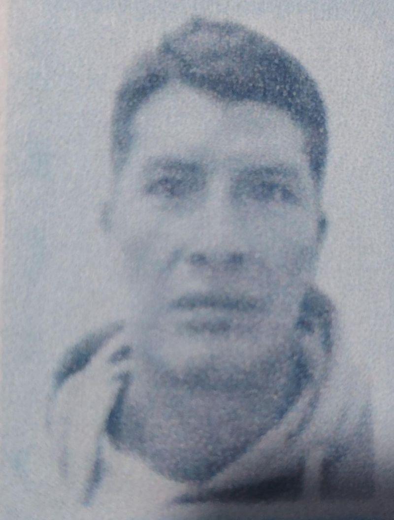 User Image