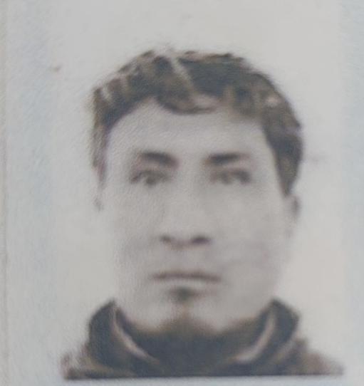 User Image