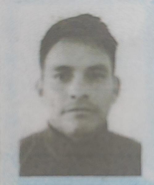 User Image